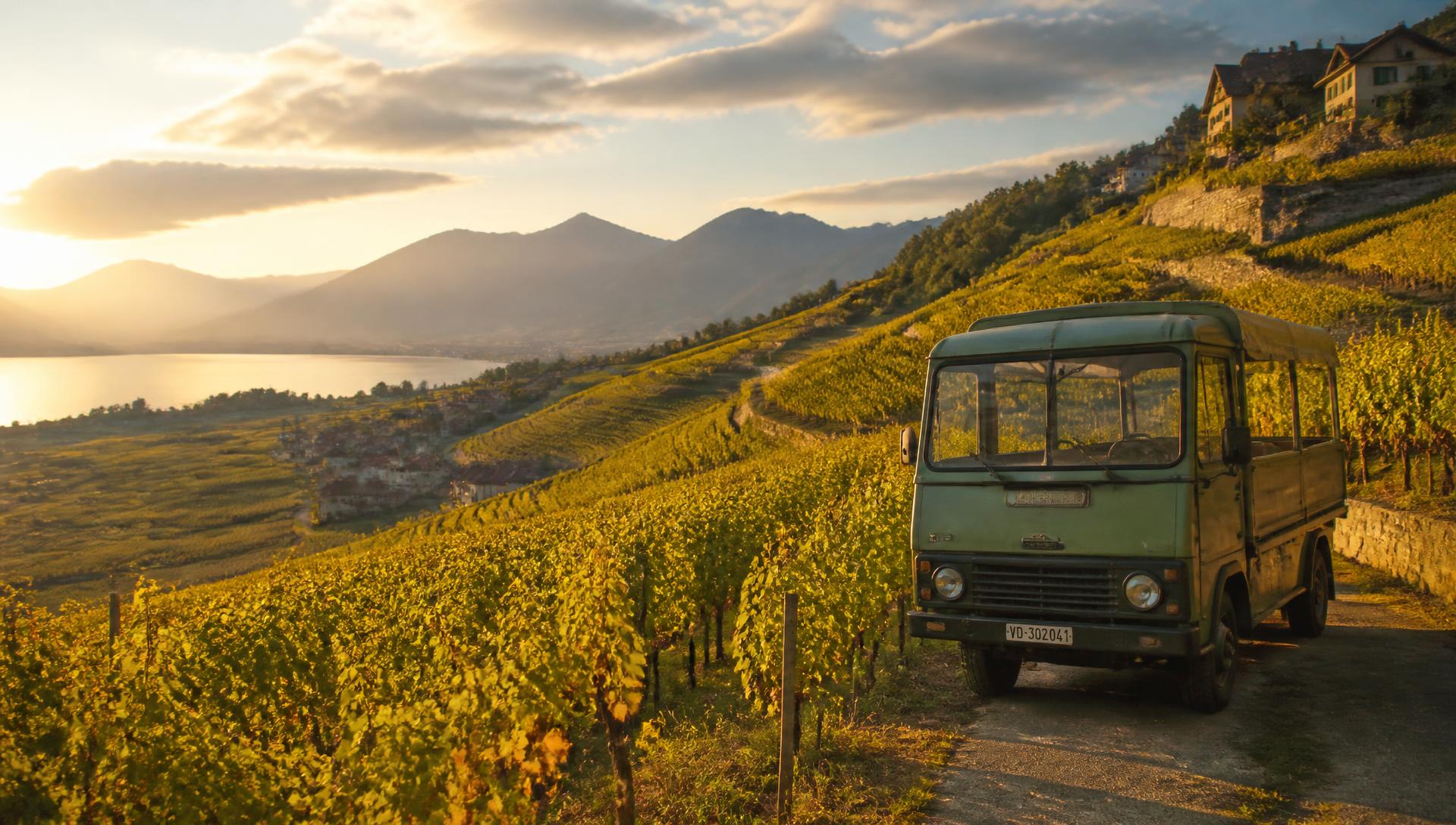 Rebberge im Schenkenbergertal mit Weinbus